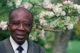 Léopold Sedar Senghor, ancien président du Sénégal, académicien et poète pose le 11 mai 1989 dans son jardin à Verson.