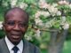 Léopold Sedar Senghor, ancien président du Sénégal, académicien et poète pose le 11 mai 1989 dans son jardin à Verson.