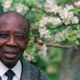 Léopold Sedar Senghor, ancien président du Sénégal, académicien et poète pose le 11 mai 1989 dans son jardin à Verson.