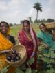 Chetna Sinha, inde, mann deshi bank, banque des femmes