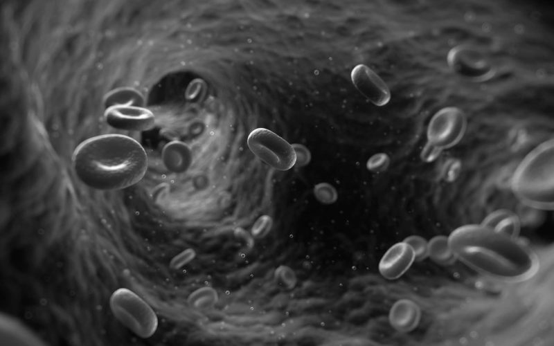 drépanocytose, maladie génétique,Mariam Coulibaly