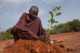 Yacouba Sawadogo, désert, burkina faso, zaï