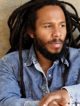 ziggy marley, rebellion rises, nouvel album