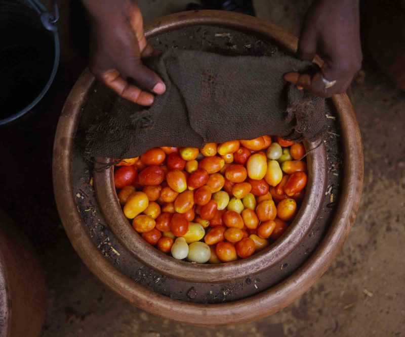 frigo, désert, réfrigérateur, pot-in-pot, mohammed bah abba, nigéria, éléctricité