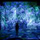 atelier des lumières, van gogh, la nuit étoilée, exposition, immersive