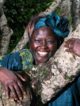 wangari maathai, environnement, démocratie, green belt movement, écologie, Prix Nobel de la Paix