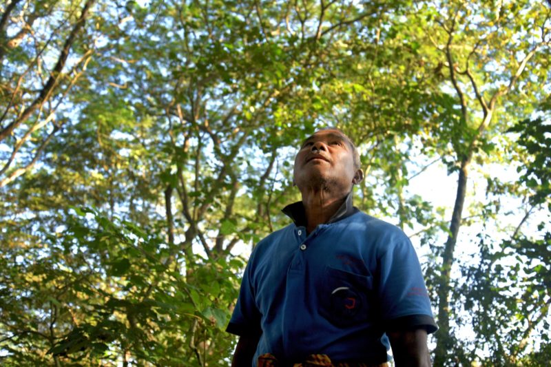 Jadav Payeng, forêt, inde