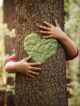 école dans les bois, caroline guy, livre, nature, enfant, modèle éducatif