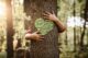 école dans les bois, caroline guy, livre, nature, enfant, modèle éducatif