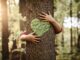 école dans les bois, caroline guy, livre, nature, enfant, modèle éducatif