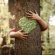 école dans les bois, caroline guy, livre, nature, enfant, modèle éducatif