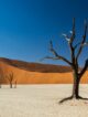 réchauffement climatique, canicule